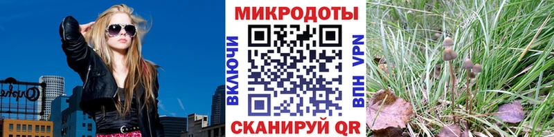 Галлюциногенные грибы Magic Shrooms  Истра 